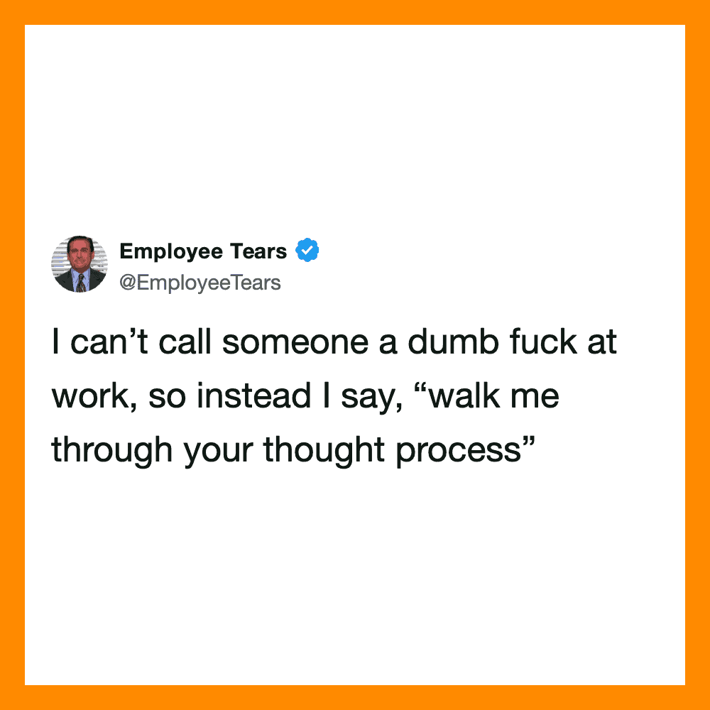 I can’t call someone a dumb fuck at work, so instead I say, “walk me through your thought process”.