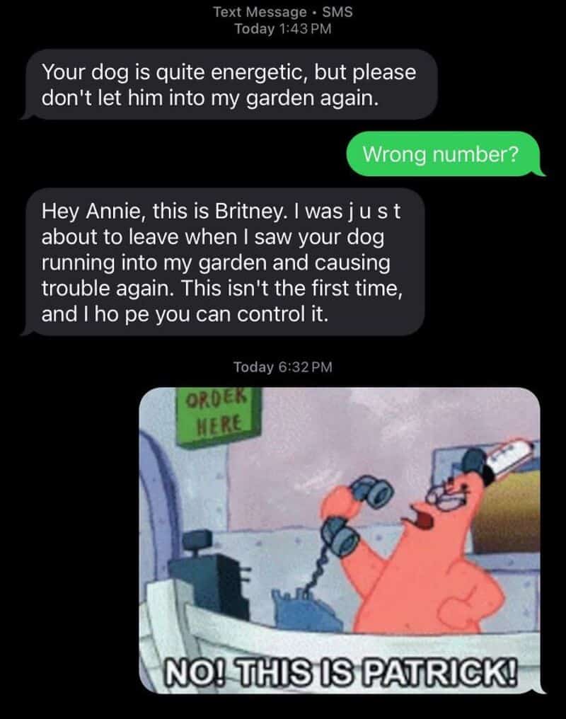 Text message conversation about a dog and a cartoon character saying 'NO! THIS IS PATRICK!.