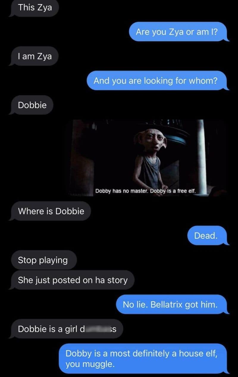 Text conversation about Zya, Dobbie, and Bellatrix with a picture of a house elf.
