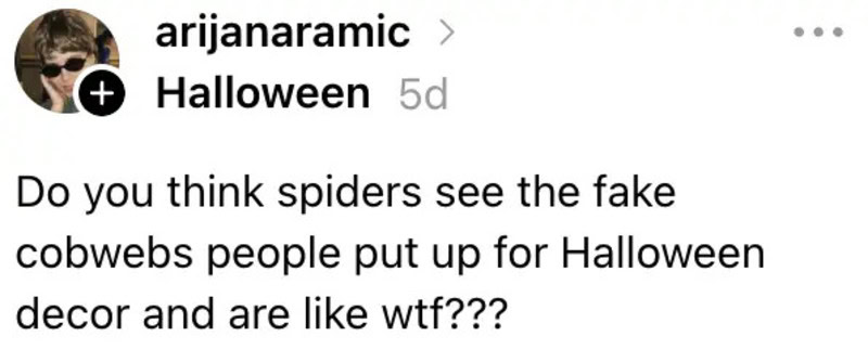 Do you think spiders see the fake cobwebs people put up for Halloween decor and are like wtf???.