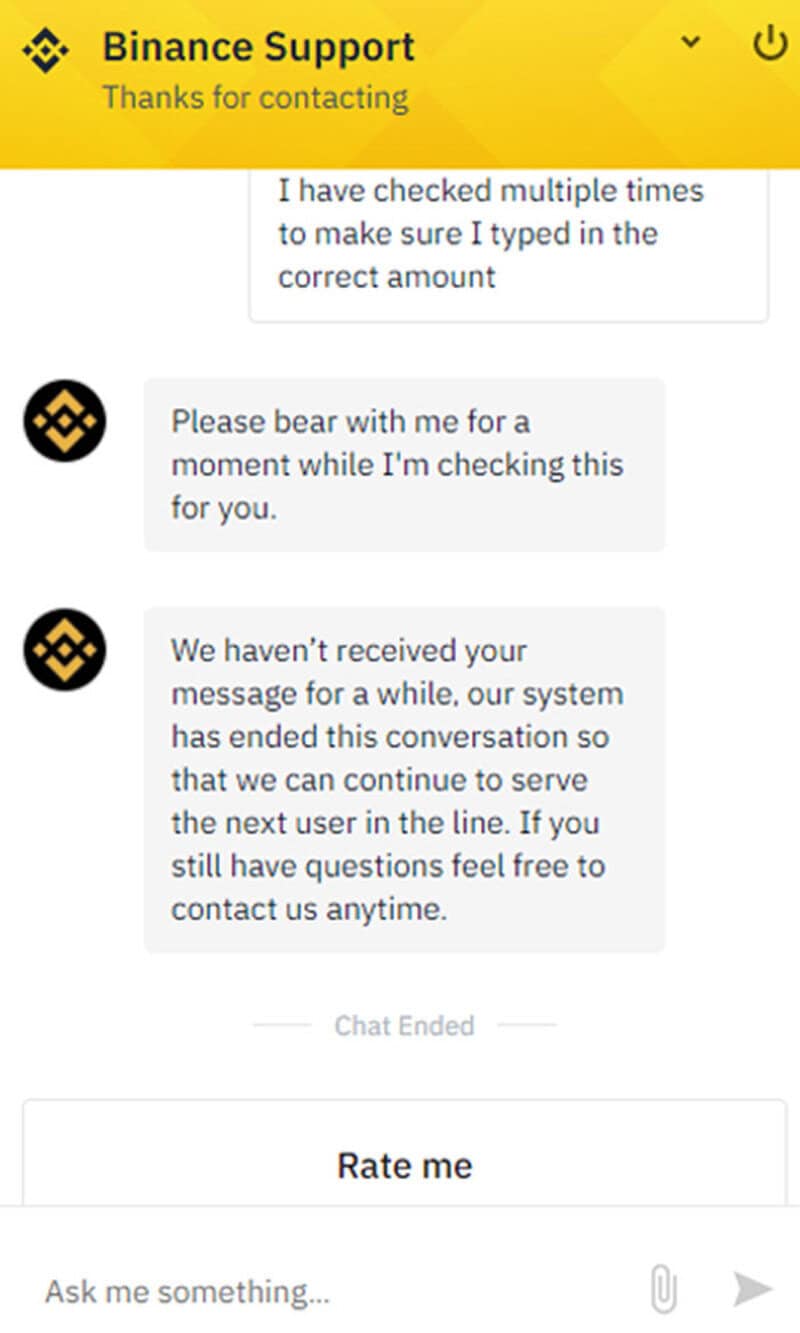 Binance Support chat with message about checking multiple times and system delay.