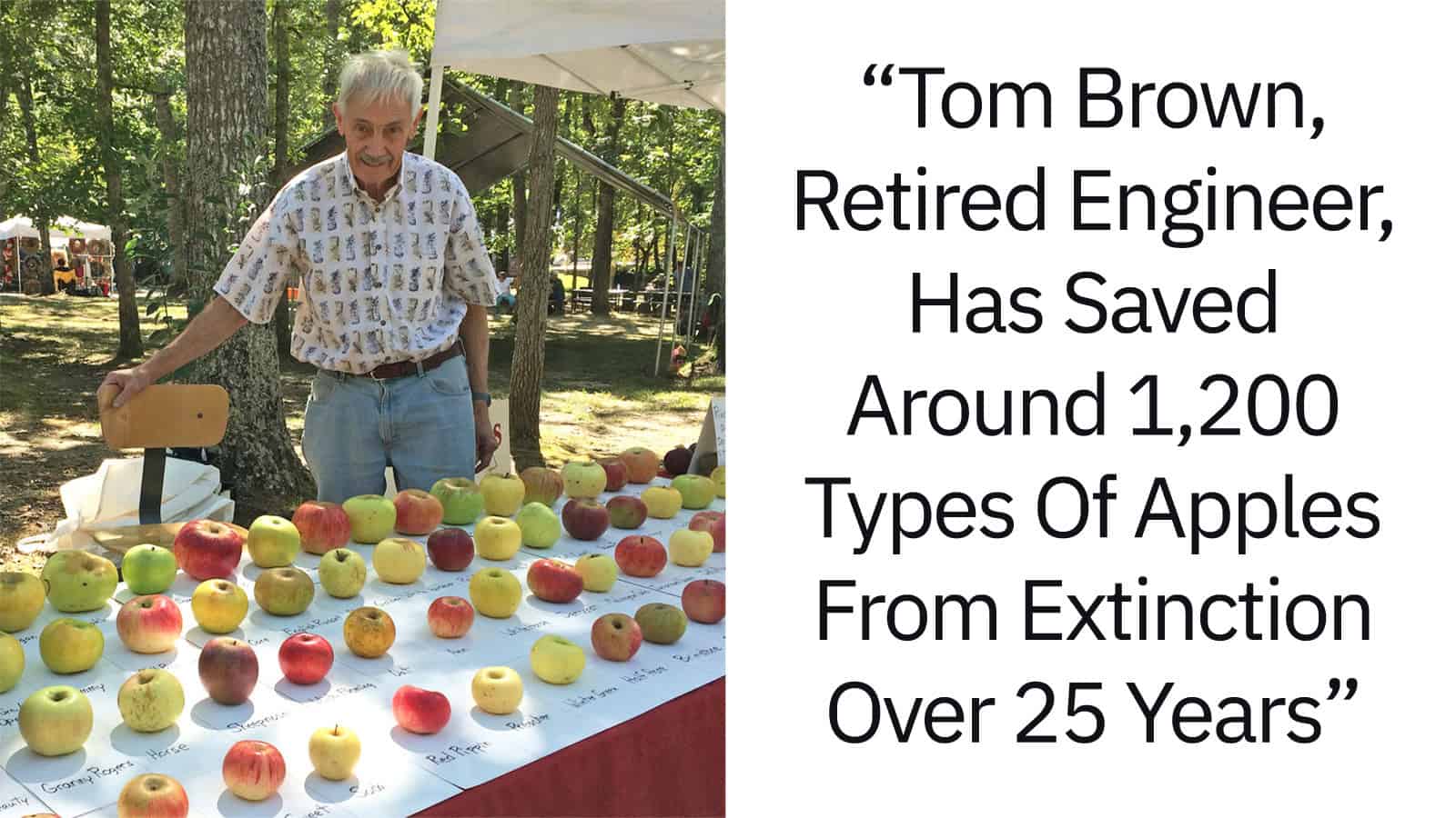 Tom Brown, retired engineer, with a table of apples at an outdoor event.