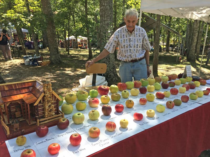 Elderly man at apple display booth with apples and a wooden model house.
