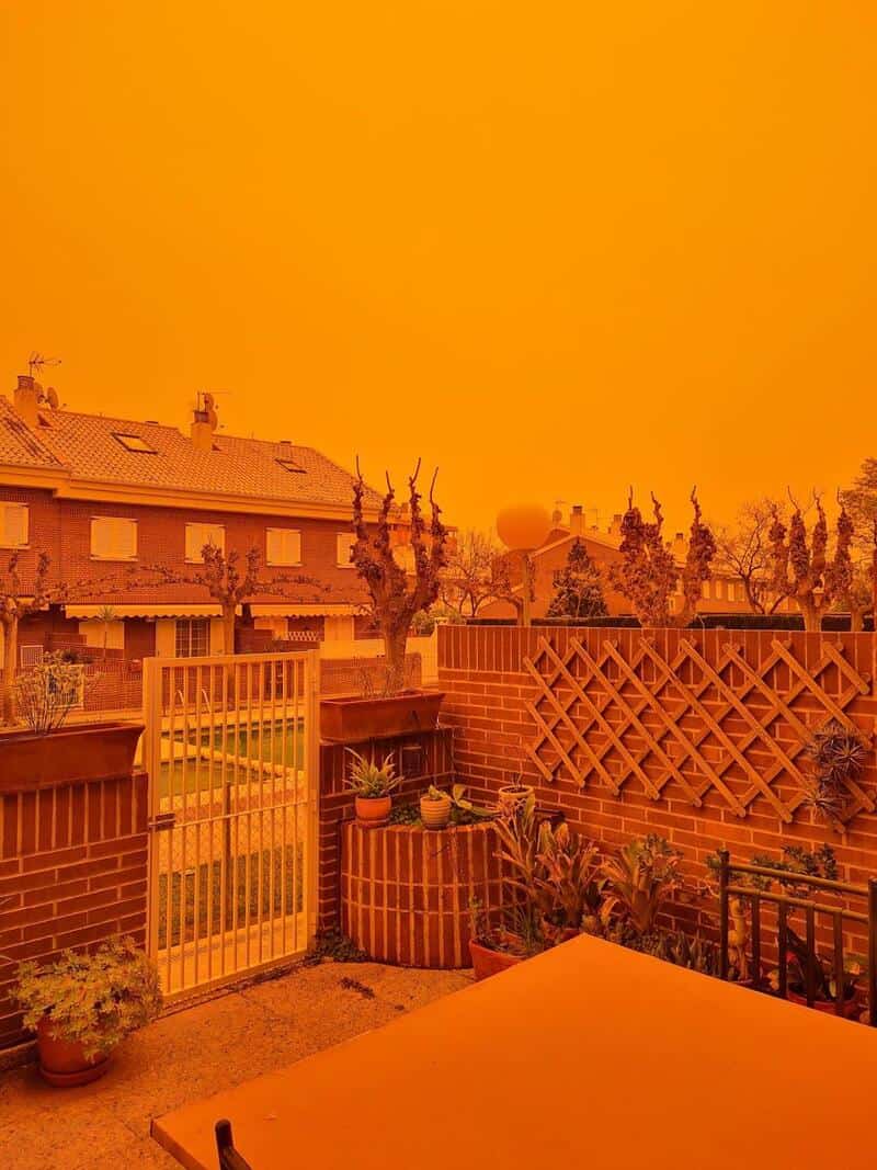 Backyard with trees, fence, and houses under an orange sky.