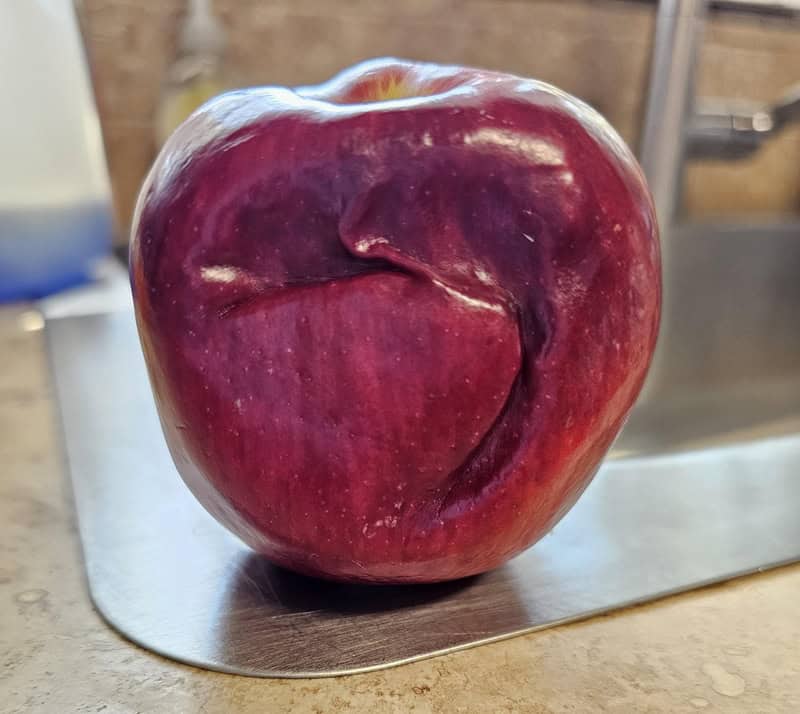 Red apple with a dark swirl pattern on its surface, on a metal tray.