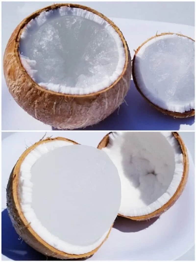 Fresh coconut cut in half showing white flesh inside.