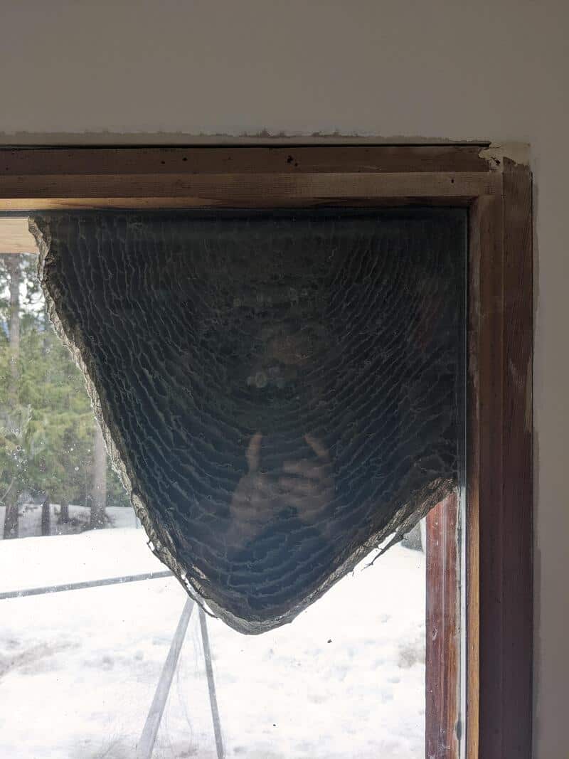 Broken window with shattered glass and a view of snow outside.