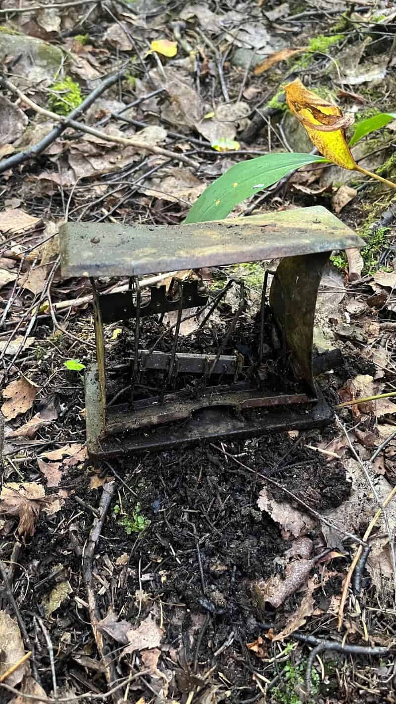Old, rusty miniature bench on forest floor with leaves and twigs.