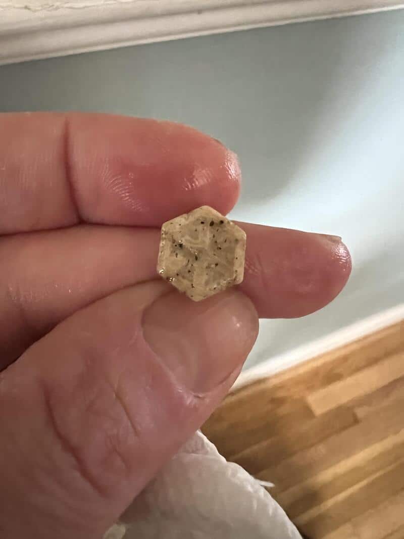 Small hexagonal object held between fingers, with a wooden floor and wall in background.