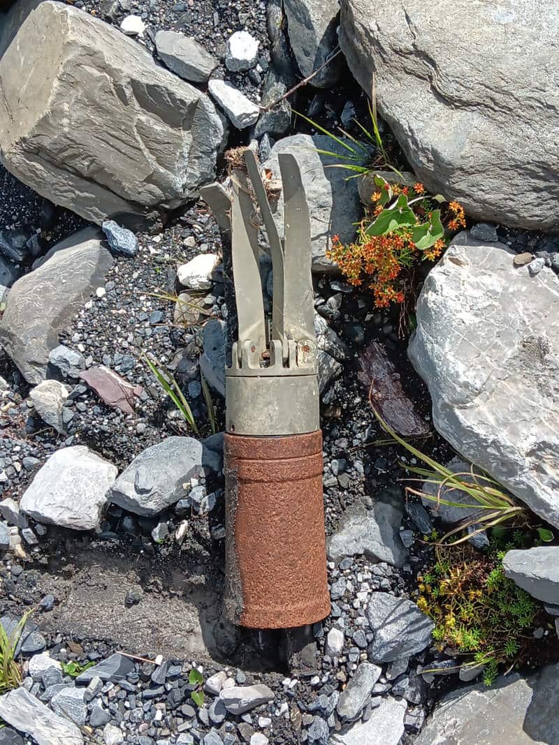 Rusty garden fork on rocky ground with small plants around.