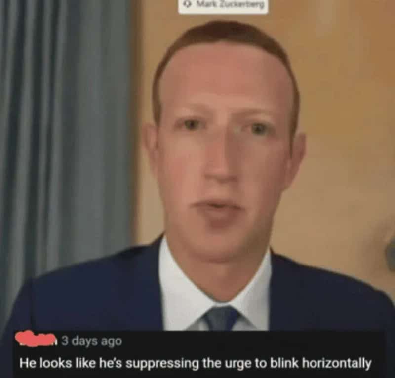 Mark Zuckerberg appears to be suppressing the urge to blink horizontally.