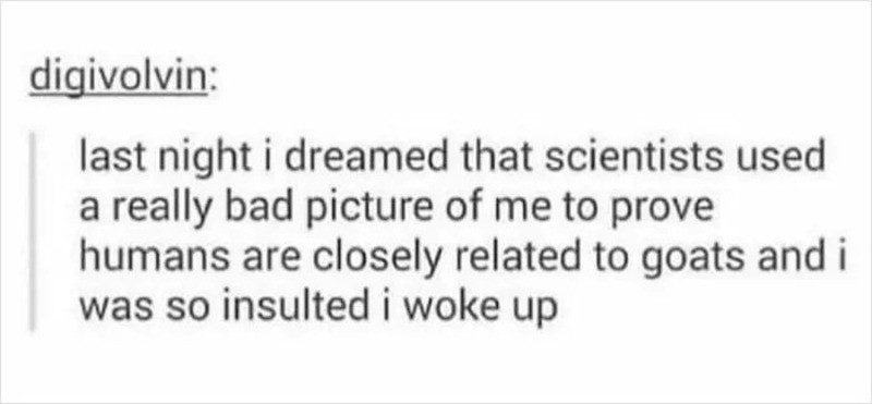 Last night I dreamed scientists used a bad picture of me to prove humans are related to goats.