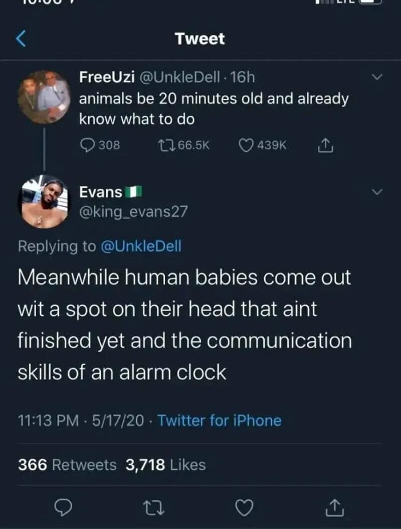 Screenshot of a Twitter conversation about animals and human babies.