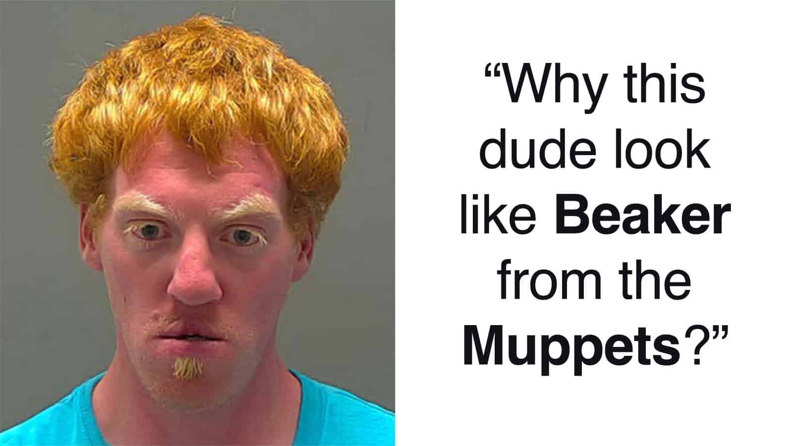 40 Hilarious Insults That Were Almost Too Good To Be Mad About