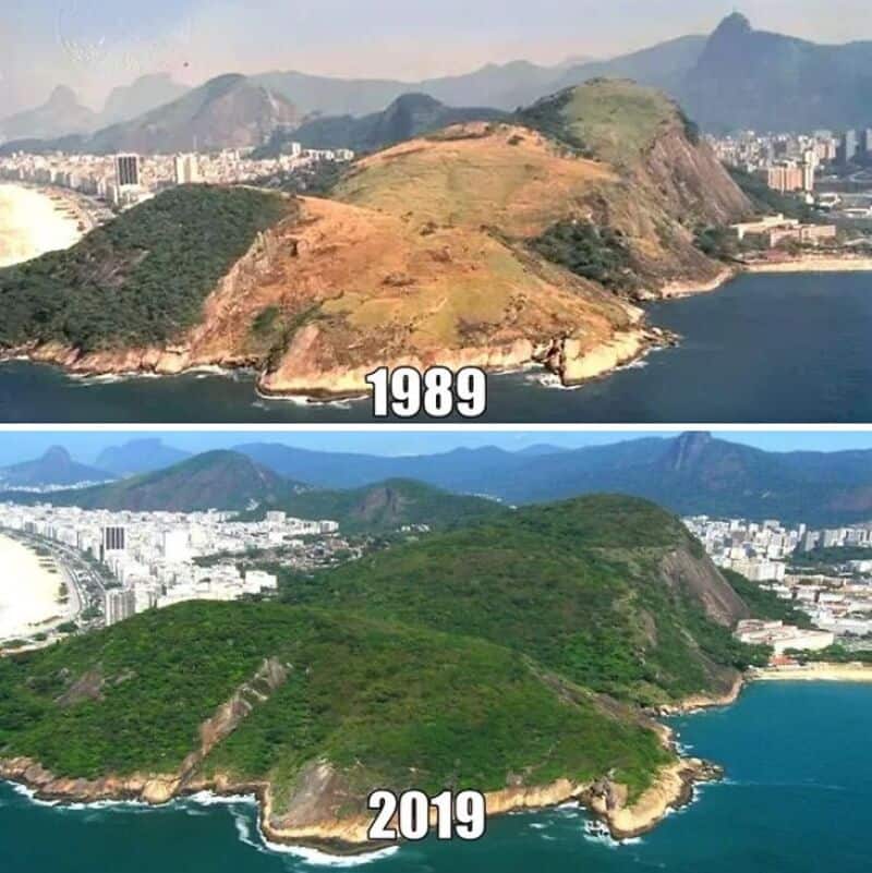 1989 vs 2019 coastal landscape shows dramatic hillside change and urban growth.