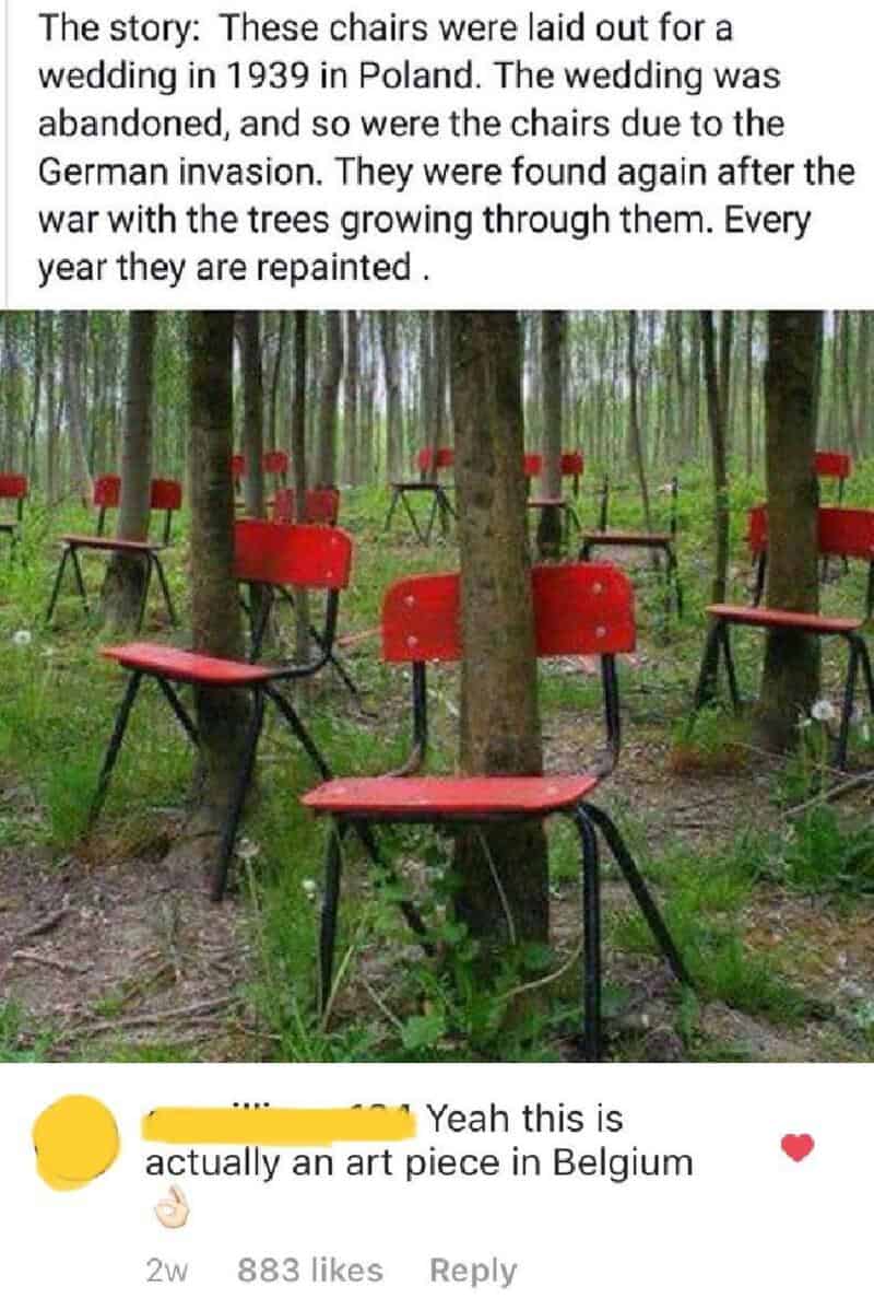 Chairs placed among trees, some with red seats and black legs, in a forest setting.