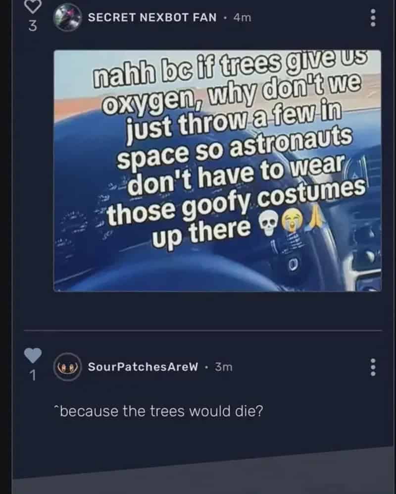 Nahhh be it trees give us oxygen, why don't we just throw a few in space so astronauts don't have to.