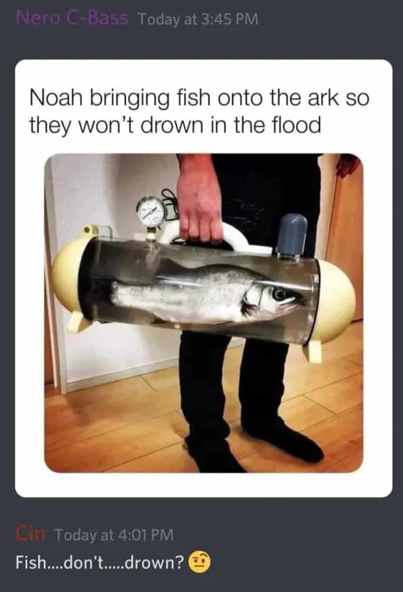 Noah bringing fish onto the ark so they won’t drown in the flood.