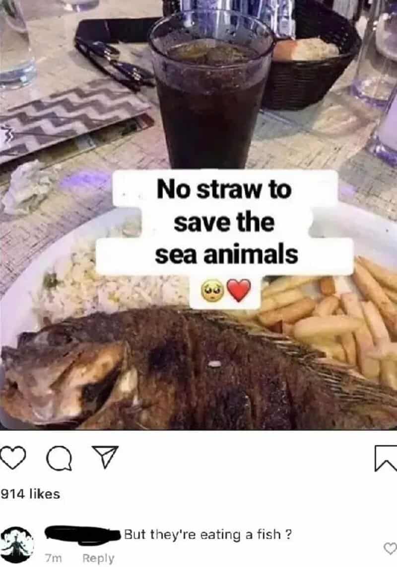 No straw to save the sea animals text over a plate with a cooked fish and fries.