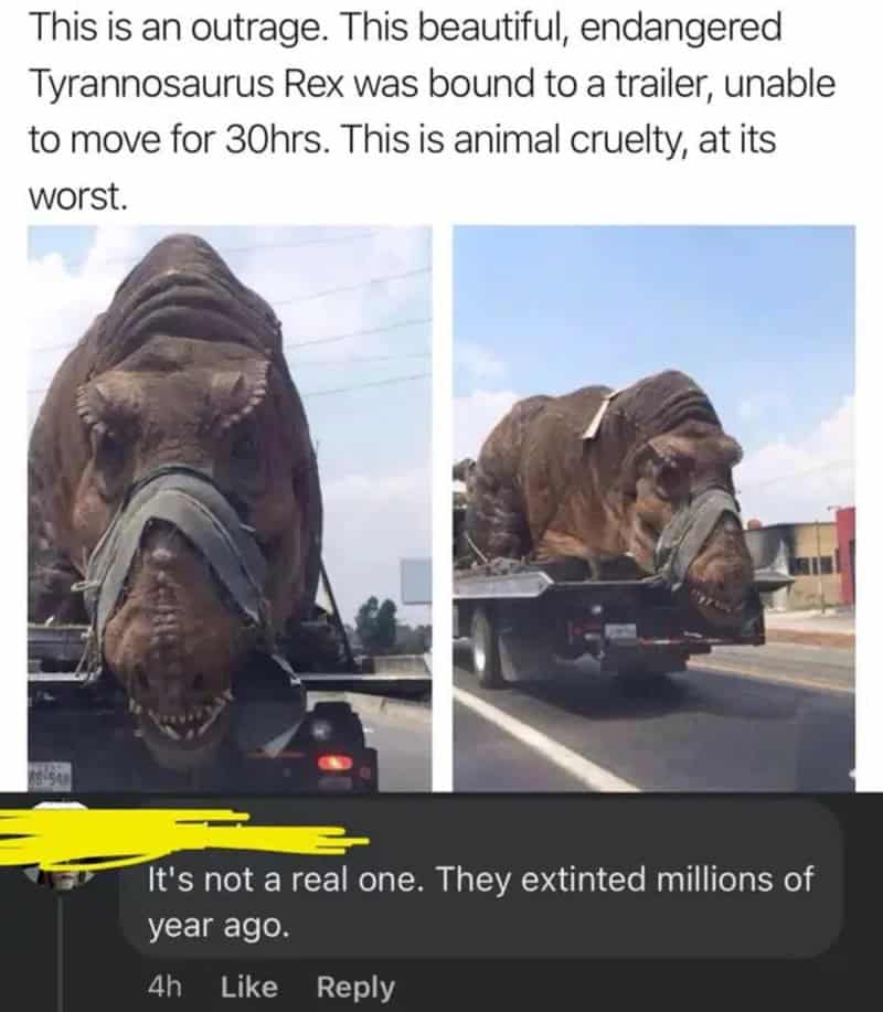 This image shows a large Tyrannosaurus rex head on a flatbed trailer, with a harness over its snout.