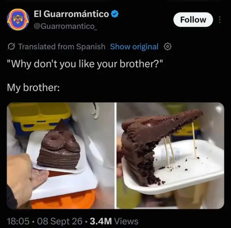 Image shows a chocolate cake and a slice of cake with a bite taken out, with a humorous caption.