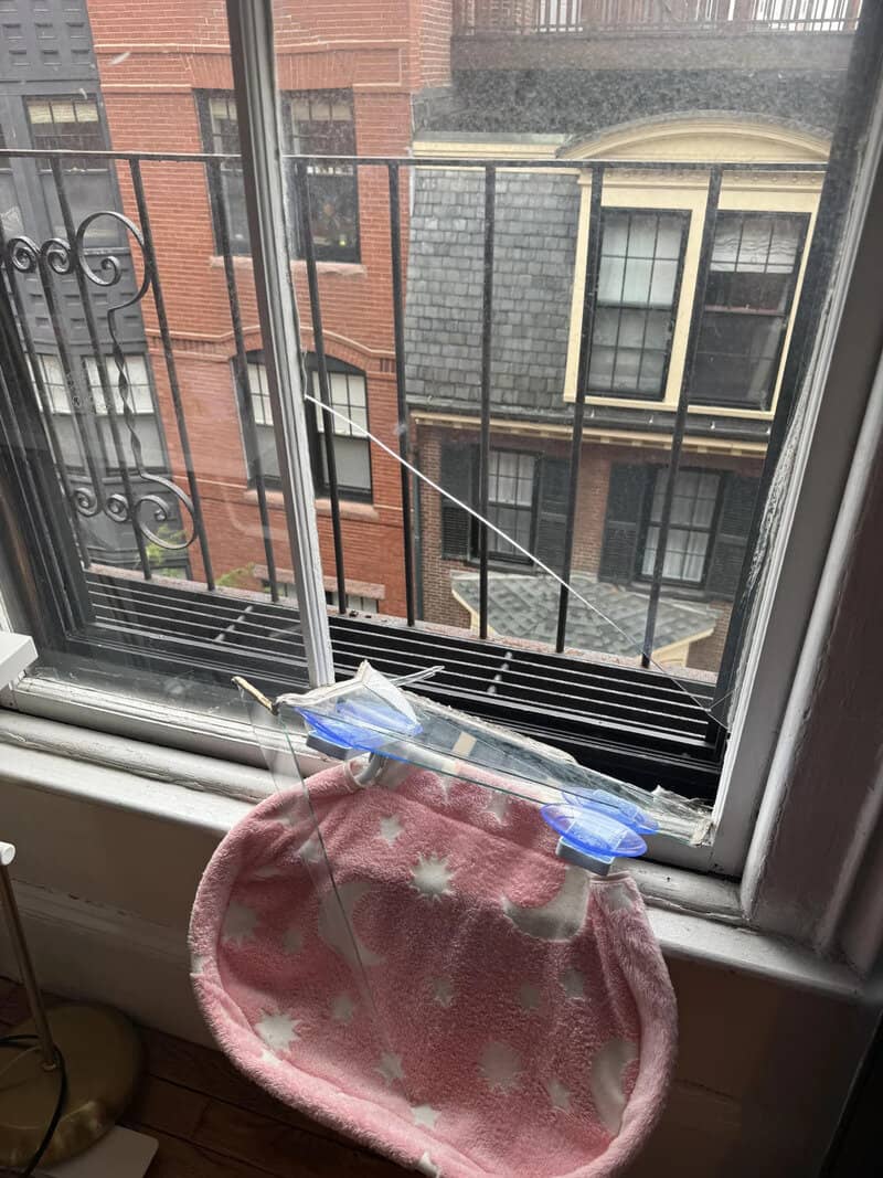 Broken window with a plastic bag and pink towel hanging outside.