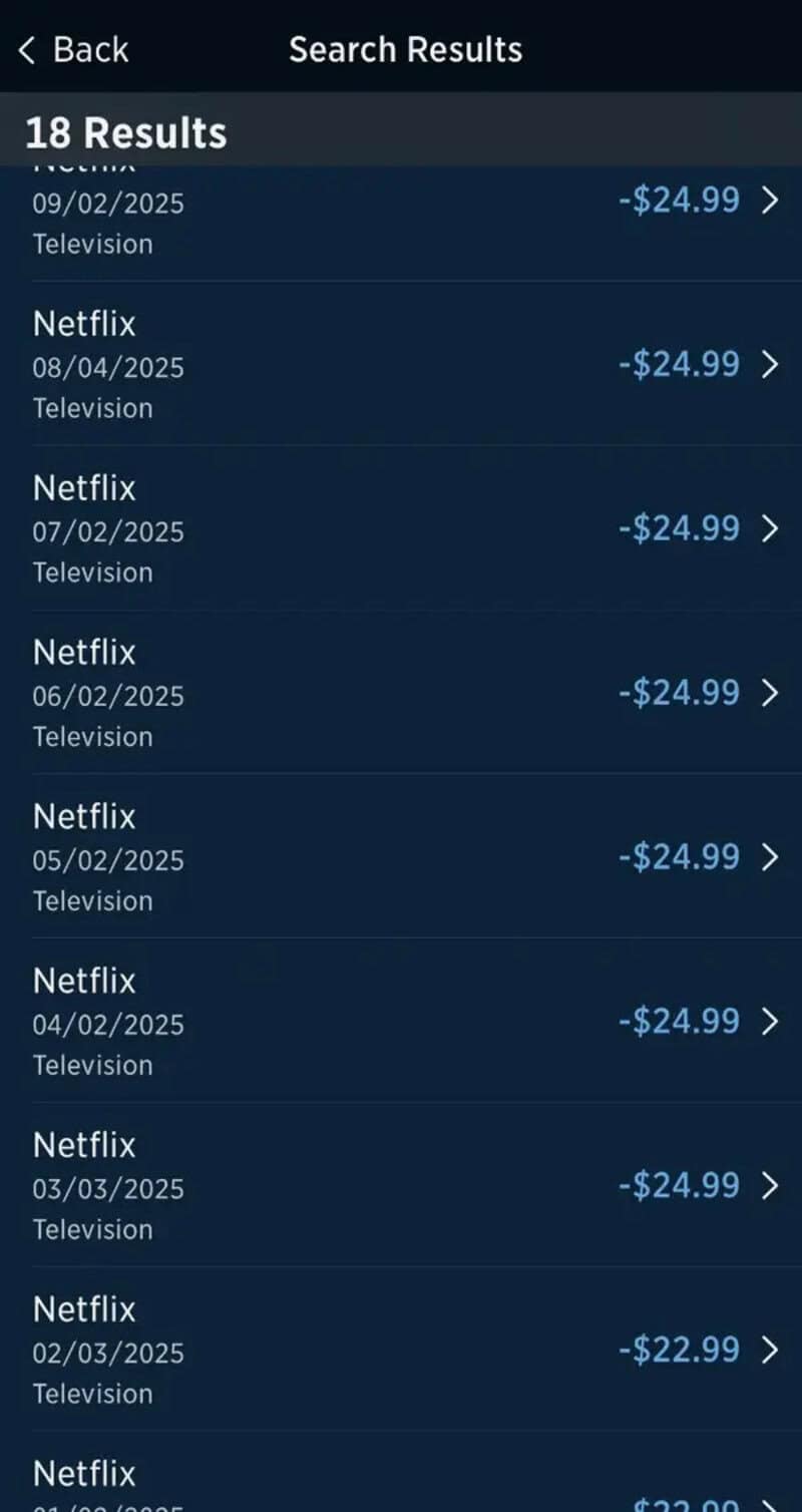 Search results showing multiple Netflix and TV subscriptions with prices and dates.