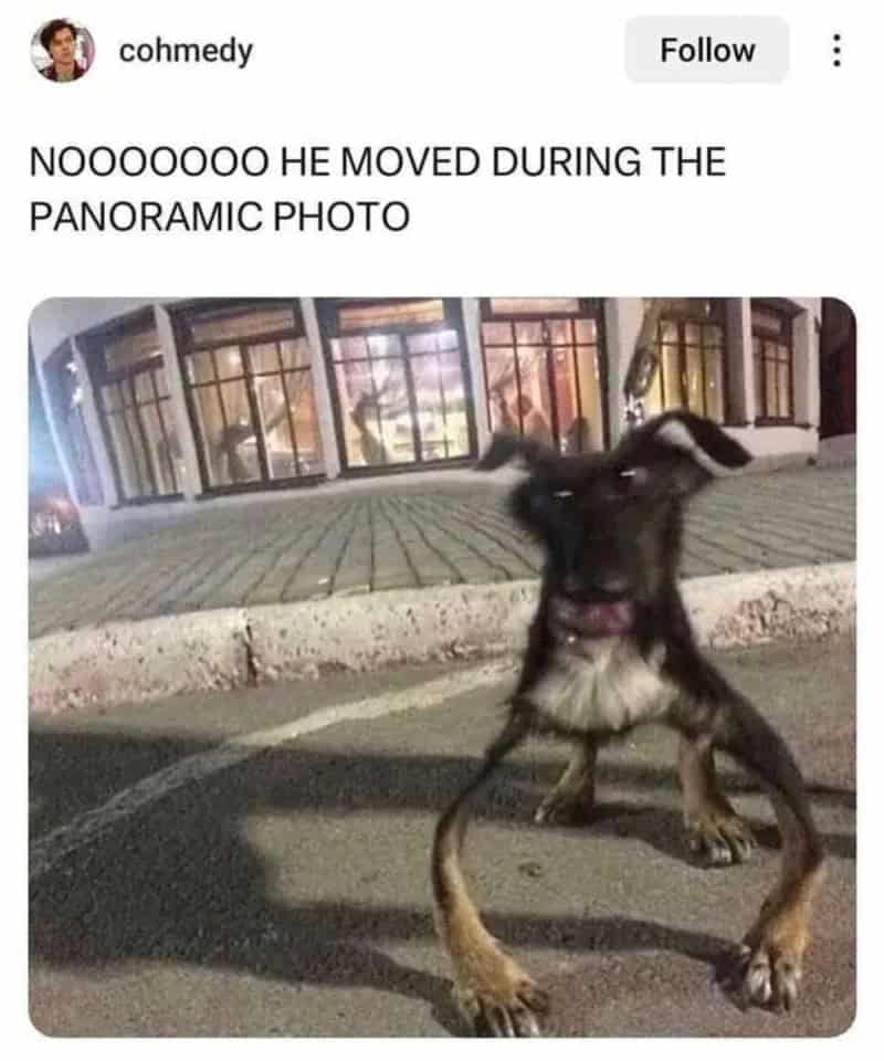 NOOOOOOOO HE MOVED DURING THE PANORAMIC PHOTO.