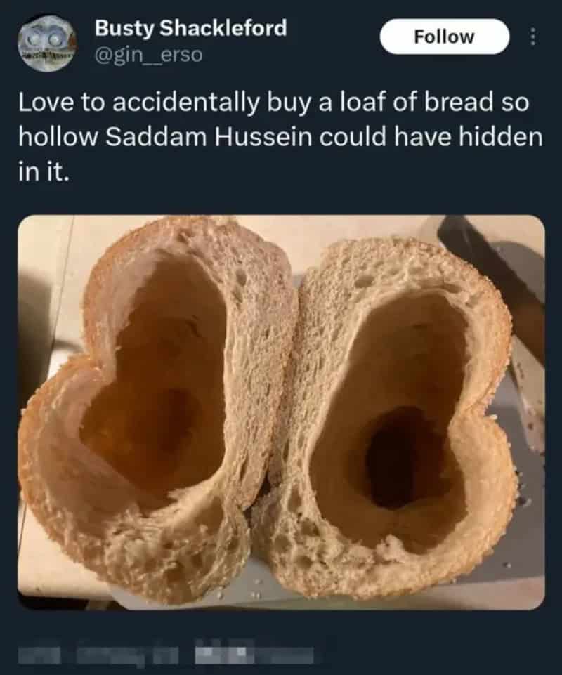 Love to accidentally buy a loaf of bread so hollow Saddam Hussein could have hidden in it.