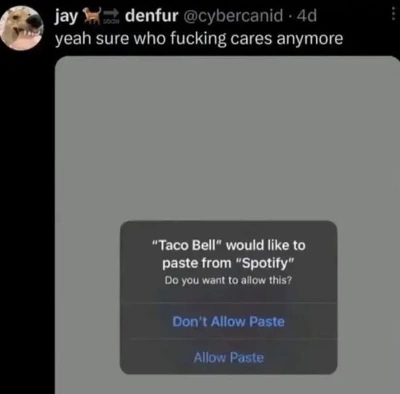 Funny social post: user says 'yeah sure who fucking cares anymore' with a screenshot showing a 'Taco.