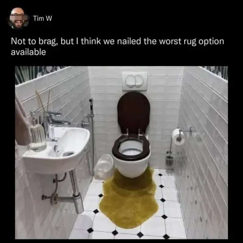 Not to brag, but I think we nailed the worst rug option available.