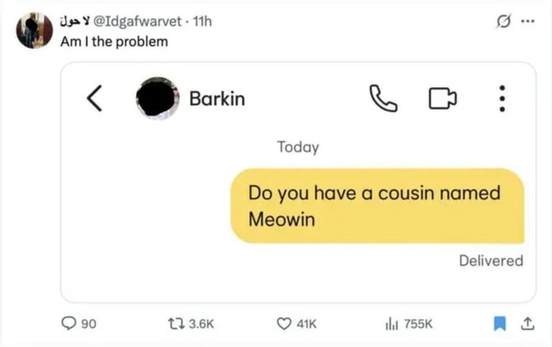 Am I the problem? Do you have a cousin named Meowin text message screenshot.