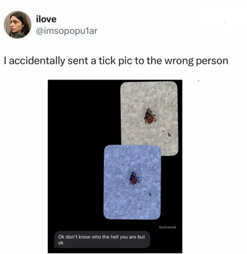 I accidentally sent a tick pic to the wrong person.