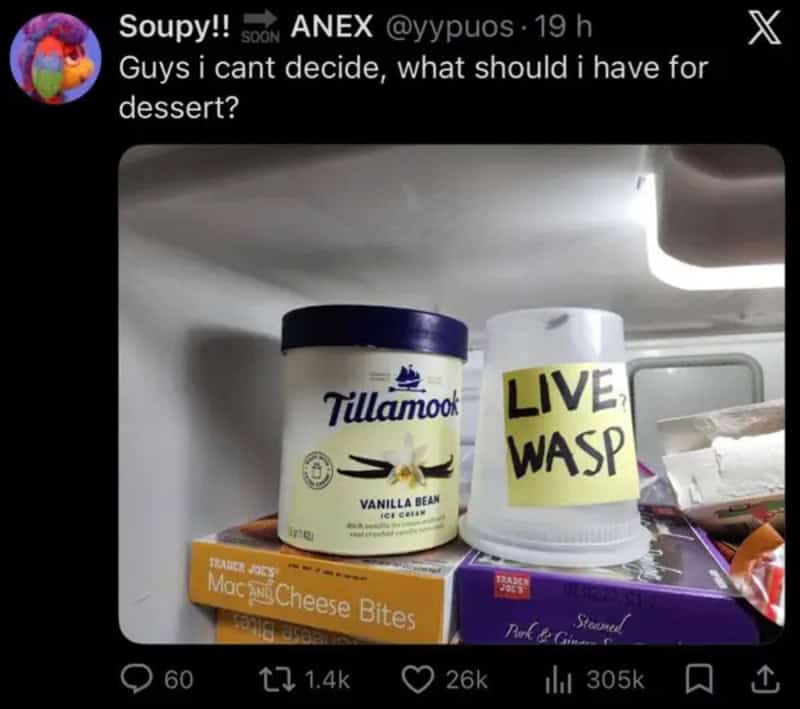 Vanilla bean ice cream tub next to a white jar labeled Live Wasp in a fridge; cheese bites box and a.