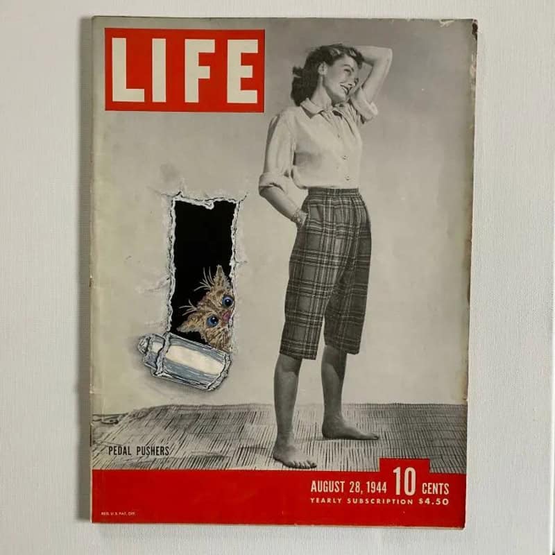 Vintage LIFE magazine cover from August 28, 1944, with a woman and a hole with a kitten.