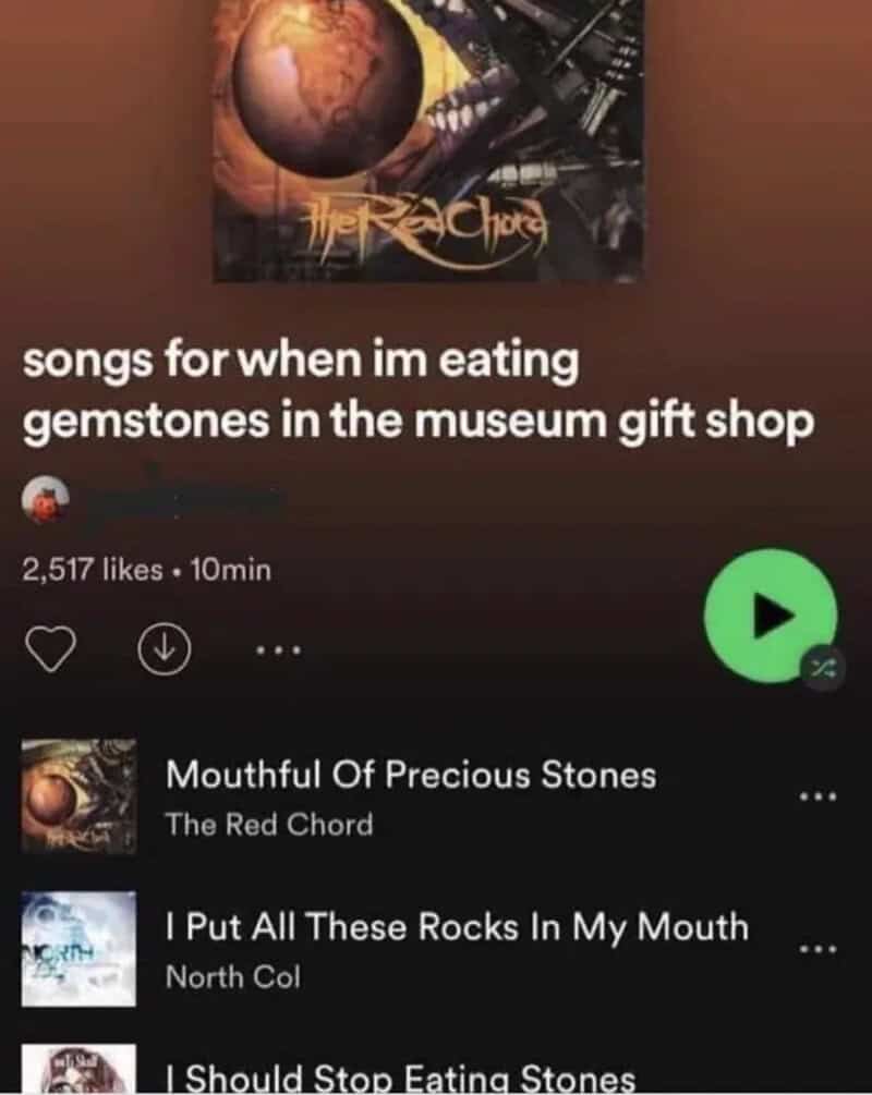 TikTok video titled 'songs for when im eating gemstones in the museum gift shop' with album art and.