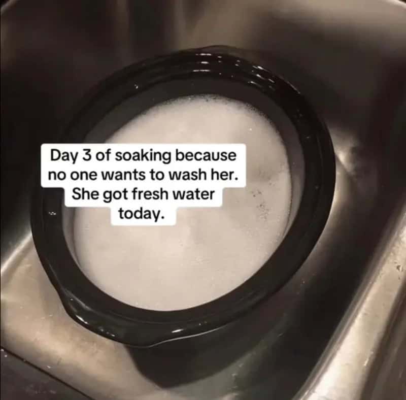 Day 3 of soaking because no one wants to wash her. She got fresh water today.