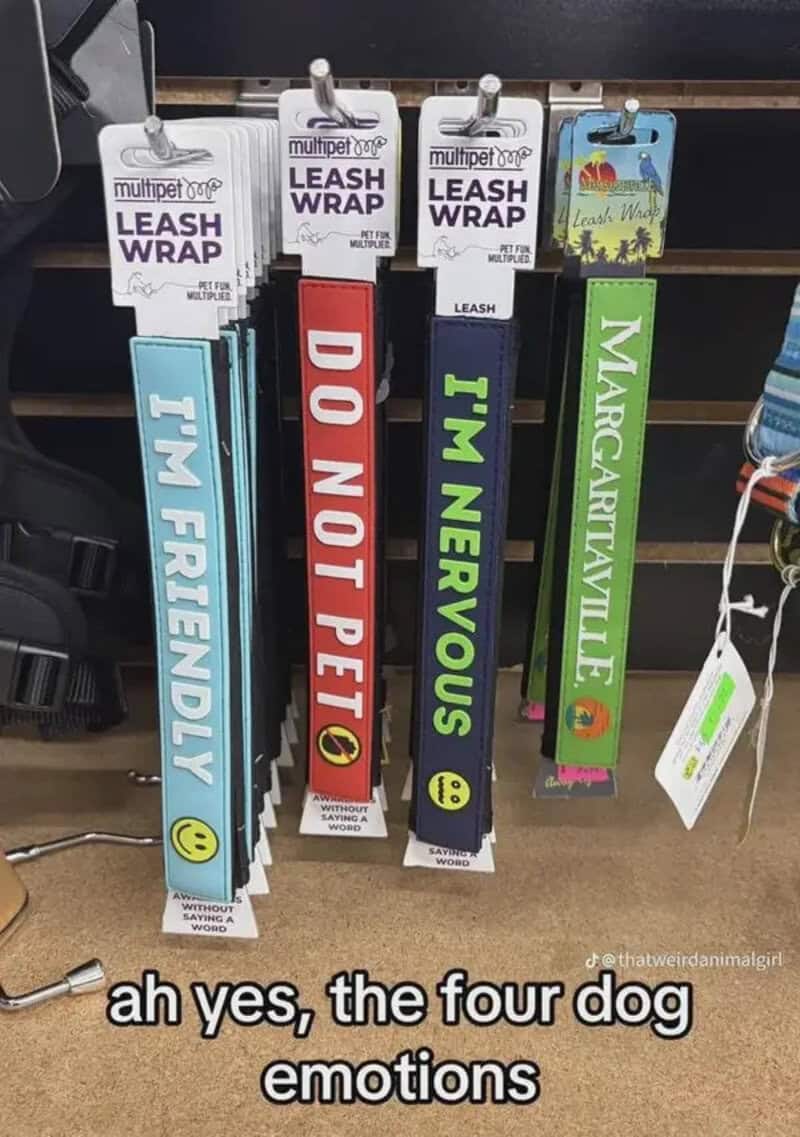 Dog leash tags with four different emotional labels and a caption about dog emotions.