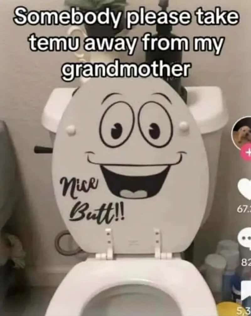 Humorous toilet with a smiling face and text about taking temu away from grandmother.