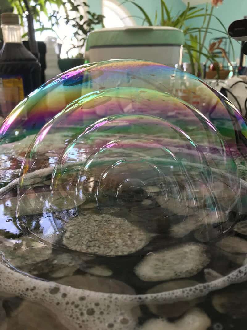Colorful soap bubbles on a reflective surface with plants and furniture in the background.