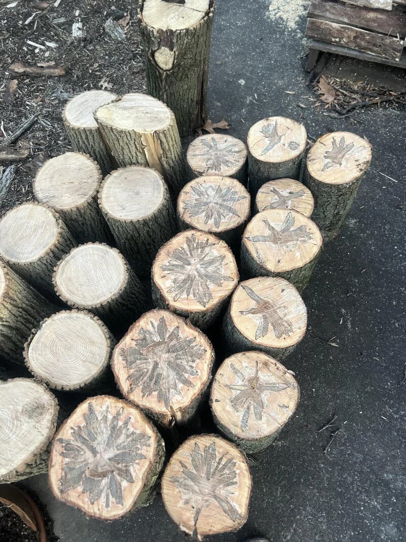 Wooden logs with carved star and leaf patterns on top, arranged on the ground.