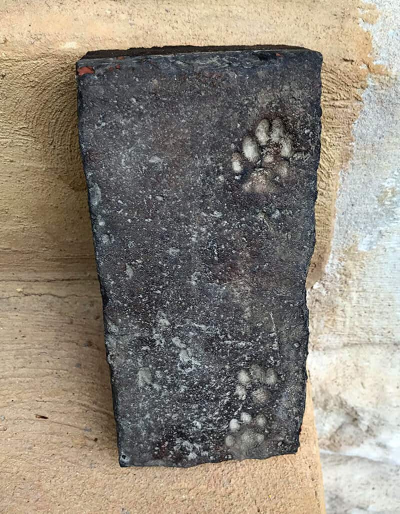 Old black stone with paw prints, against a beige wall.