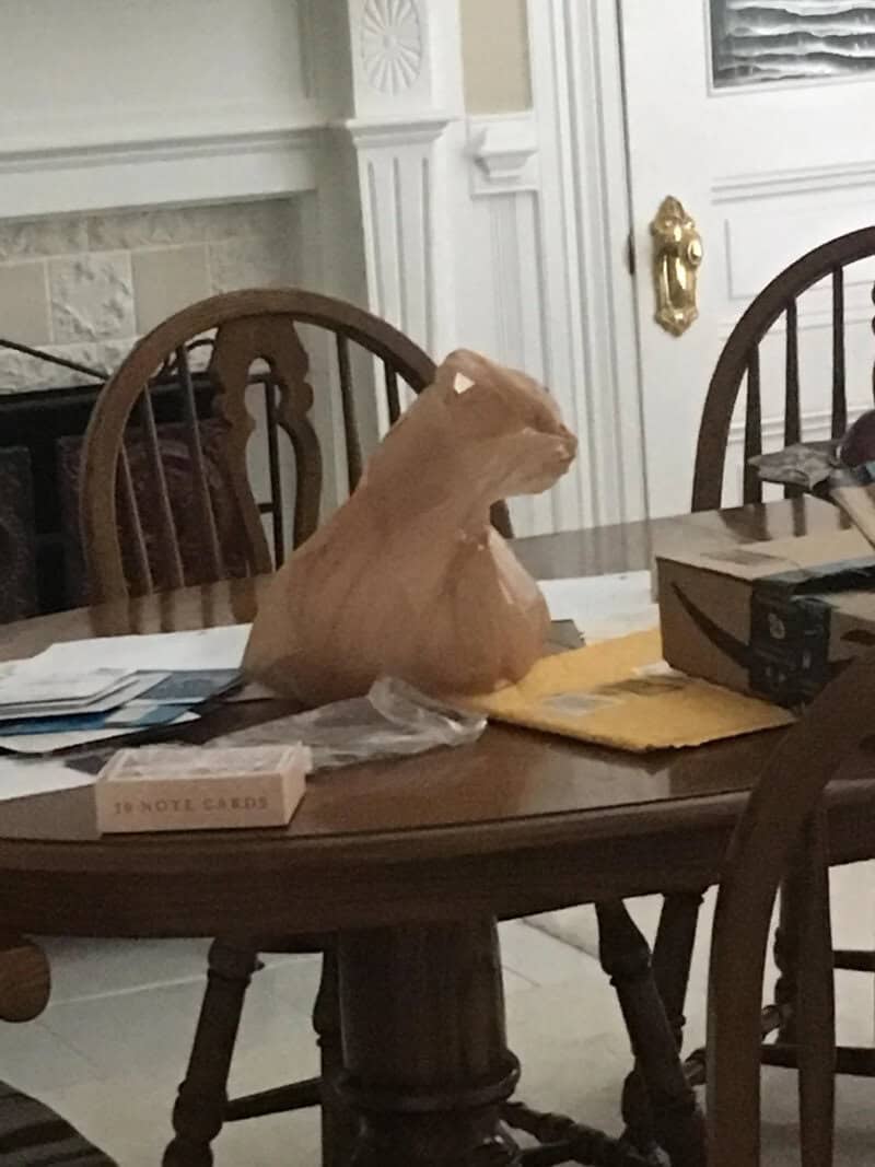A dog-shaped paper bag on a dining table with chairs and papers.