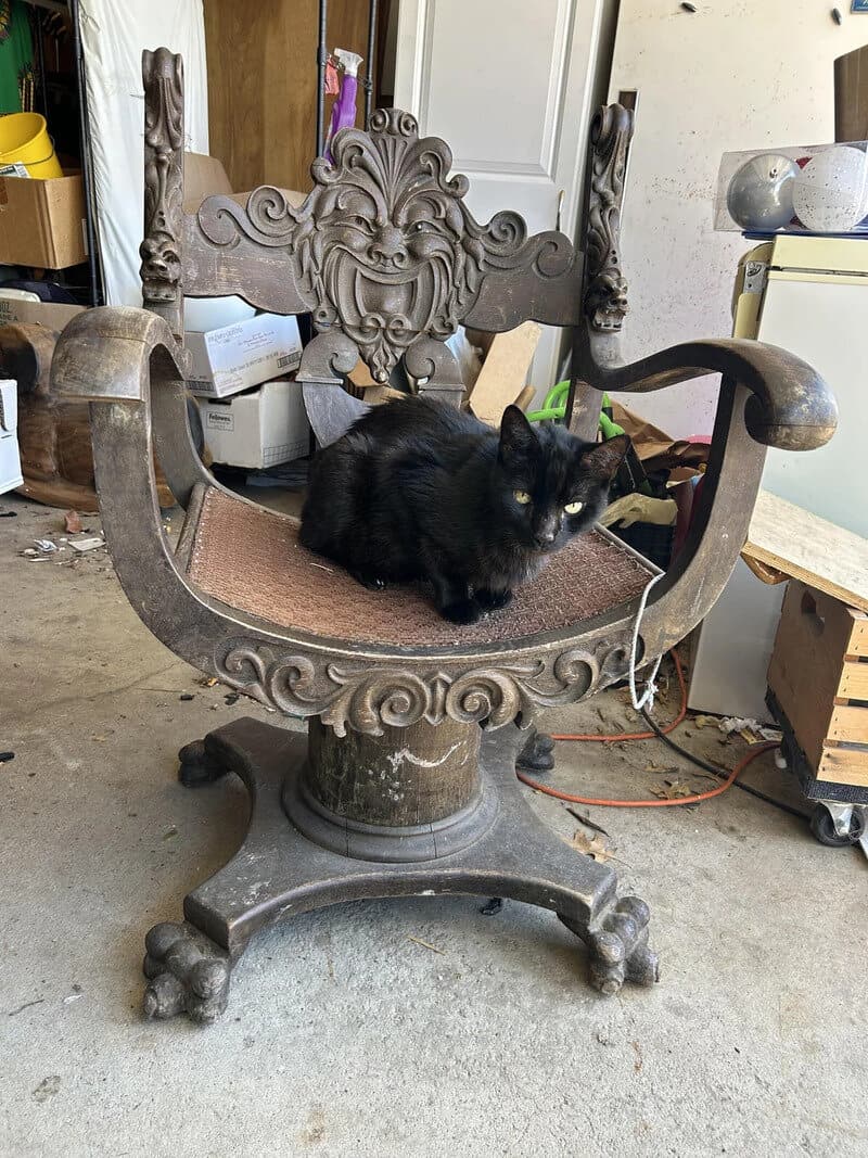 Black cat sitting on an ornate wooden chair in a garage.
