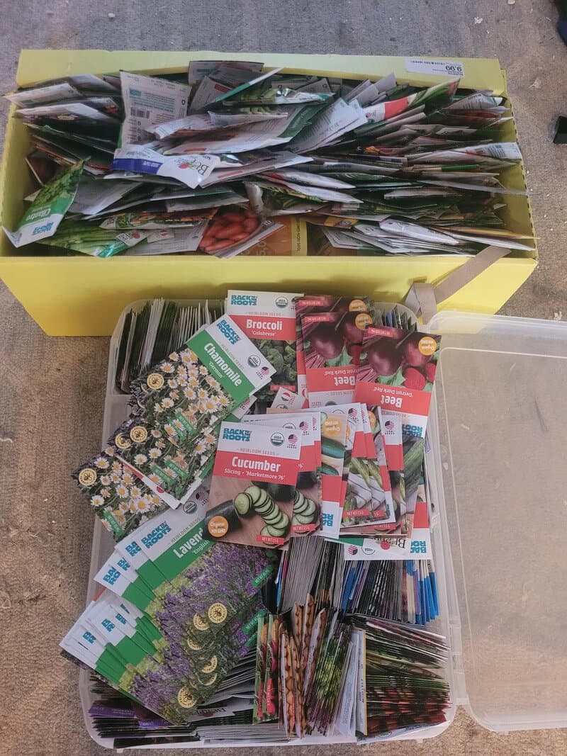 Collection of seed packets and gardening supplies in a plastic container and a cardboard box.