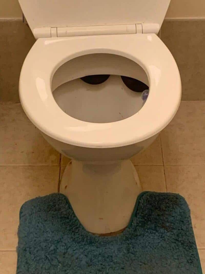 Toilet with a blue rug in front, open lid, and visible shoes reflected in the bowl.