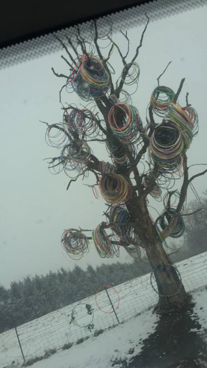 Colorful yarn wrapped around a leafless tree in a snowy landscape.