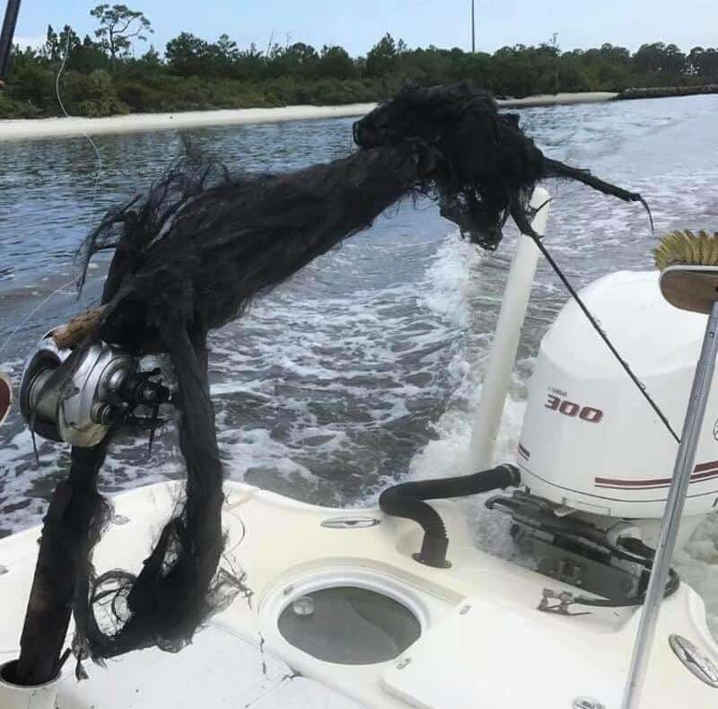 Dog caught in fishing line on boat with water and trees in background.