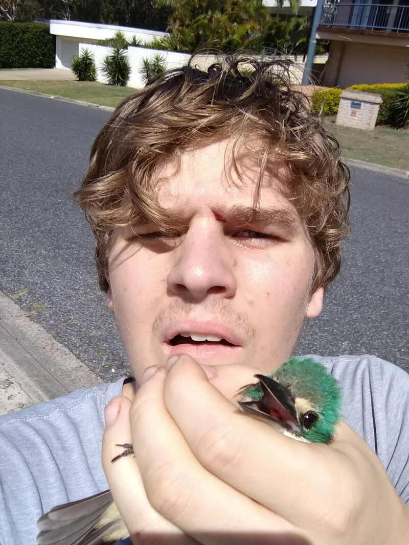 Young man holding a colorful bird, looking confused, outdoors on a sunny day.