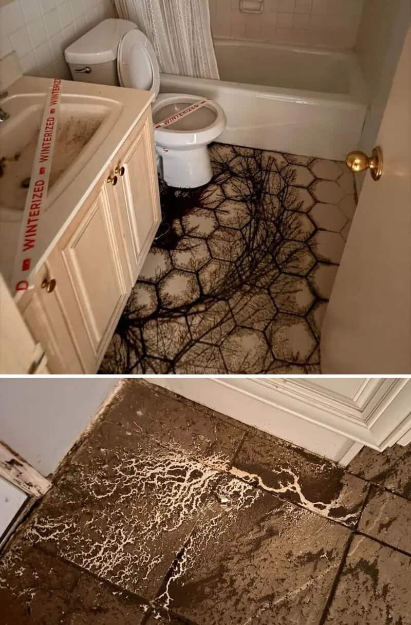 Bathroom with a black spider web pattern on the floor and a damaged tile floor.